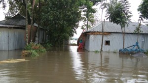 বাড়ছে পদ্মার পানি