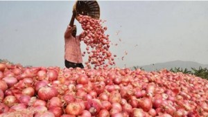 দাম কমলো পেঁয়াজের, জনমনে স্বস্তি