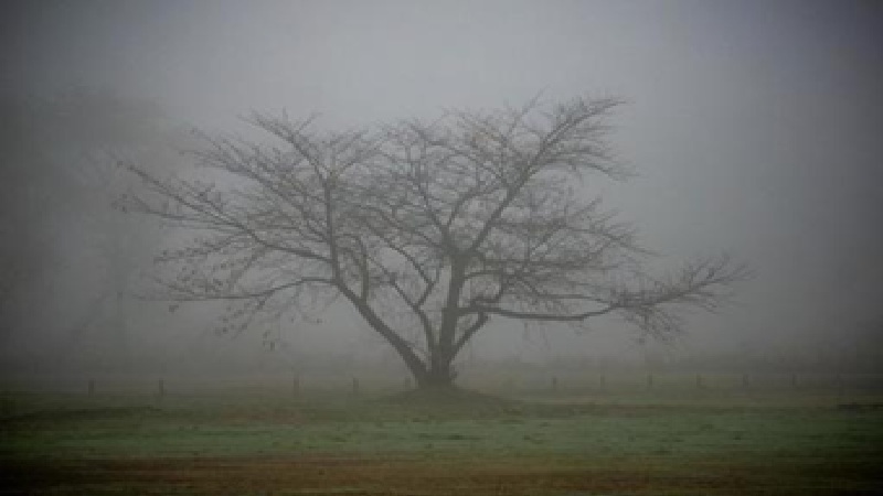 রাতের ঠাণ্ডা বাড়ছে, হালকা থেকে মাঝারি কুয়াশার পূর্বাভাস