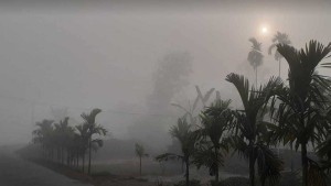 শীতের আগমন ও শৈত্যপ্রবাহ নিয়ে যে বার্তা দিল আবহাওয়া অফিস