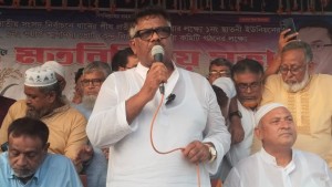 ভেদাভেদ ভুলে ধানের শীষের পক্ষে কাজ করতে হবে: দুলু