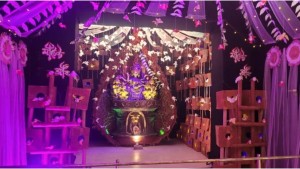 শেরপুরে নজর কাড়ছে পাখির বাসায় দেবী দুর্গা