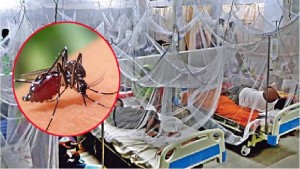 বেড়েছে ডেঙ্গুর প্রকোপ, মৃত্যু ২