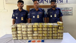 টেকনাফে মুরগির খামার থেকে ৫ লাখ পিস ইয়াবা উদ্ধার