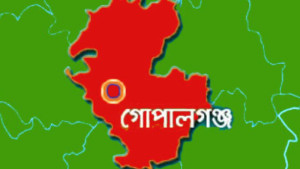 গোপালগঞ্জে ছেলের ধাক্কায় প্রাণ হারালেন মা