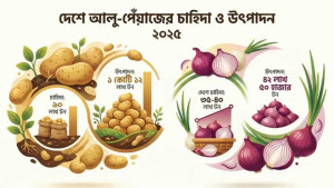আলু-পেঁয়াজের মাঠে ‘হাসি’, কৃষকের ঘরে ‘কান্না’