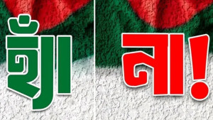 গণভোটে প্রদত্ত ভোট কমল ১০ লাখ ৭৩ হাজার