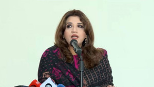 আমাদের বোয়িং ও এয়ারবাস দুটোই দরকার: পররাষ্ট্র প্রতিমন্ত্রী