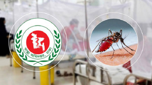 একদিনে ডেঙ্গুতে আক্রান্ত হয়ে হাসপাতালে ভর্তি ৬৮