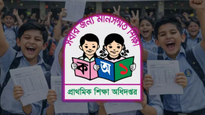 প্রাথমিক বৃত্তি পরীক্ষার ফলাফল প্রকাশ