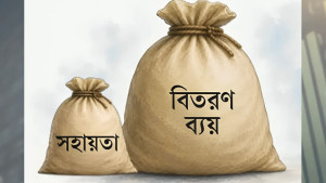 অনিয়মের অভিযোগে থামল ইন্টেরিমের ৬১ কোটি টাকার প্রকল্প