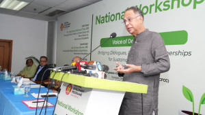 এনডিপির ‘ভয়েসেস অব ডেভেলপমেন্ট’ কর্মশালা অনুষ্ঠিত
