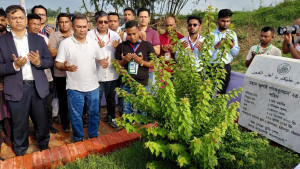 চব্বিশের শহীদ ওয়াসিমের কবর জিয়ারত করলেন প্রধানমন্ত্রী