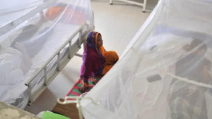 বর্ষার শুরুতেই বাড়ছে ডেঙ্গুর প্রকোপ, আক্রান্তদের বেশিরভাগই শিশু