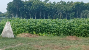 দর্শনা সীমান্তে ১১ জনকে পুশইনের চেষ্টা, প্রতিহত করল বিজিবি