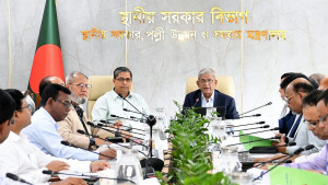 ডেঙ্গু মোকাবিলায় বিশেষ টাস্কফোর্স গঠনের সিদ্ধান্ত