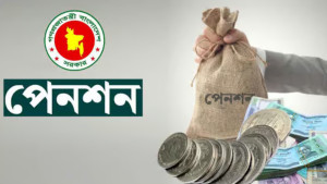 পেনশনের ভোগান্তি কমাতে ওপিটিএমএস চালু করছে সরকার