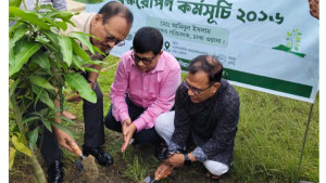 দাশেরকান্ধি পয়ঃশোধনাগারে ঢাকা ওয়াসার বৃক্ষরোপণ কর্মসূচি