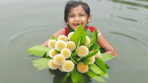 পয়লা আষাঢ়ে বর্ষার আগমন, দেশজুড়ে বৃষ্টির আভাস