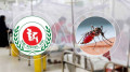২৪ ঘণ্টায় ডেঙ্গুতে ২ জনের মৃত্যু, আক্রান্ত ১৫৭