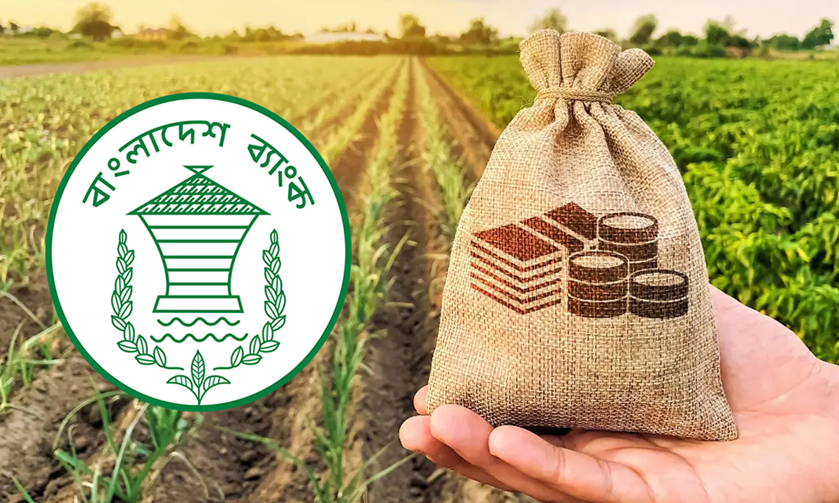 কৃষকদের জন্য ঋণ সহজীকরণে নতুন নির্দেশনা দিয়েছে বাংলাদেশ ব্যাংক