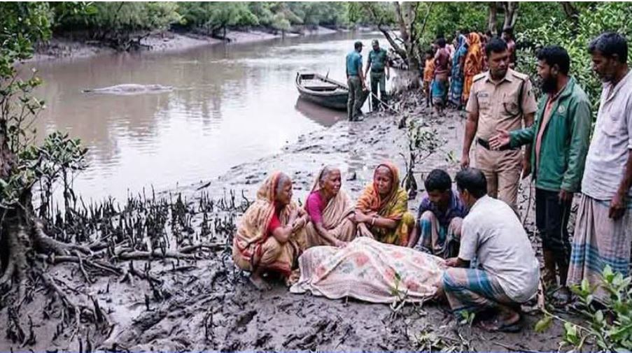 সুন্দরবন সংলগ্ন শেলা নদীতে কুমিরের আক্রমণে নারীর মৃত্যু