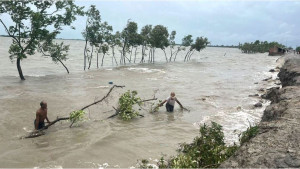 সমুদ্র উপকূলে জলবায়ু পরিবর্তনের প্রভাব