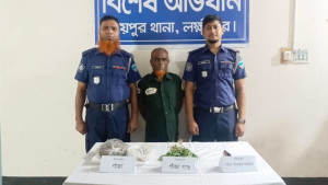 রায়পুরে সবজির আড়ালে গাঁজা চাষ, বৃদ্ধ আটক