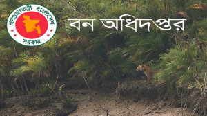 ৩৮২ জন ফরেস্টার নেবে বন অধিদপ্তর