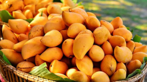 আম খাওয়ার পর যা খাবেন না