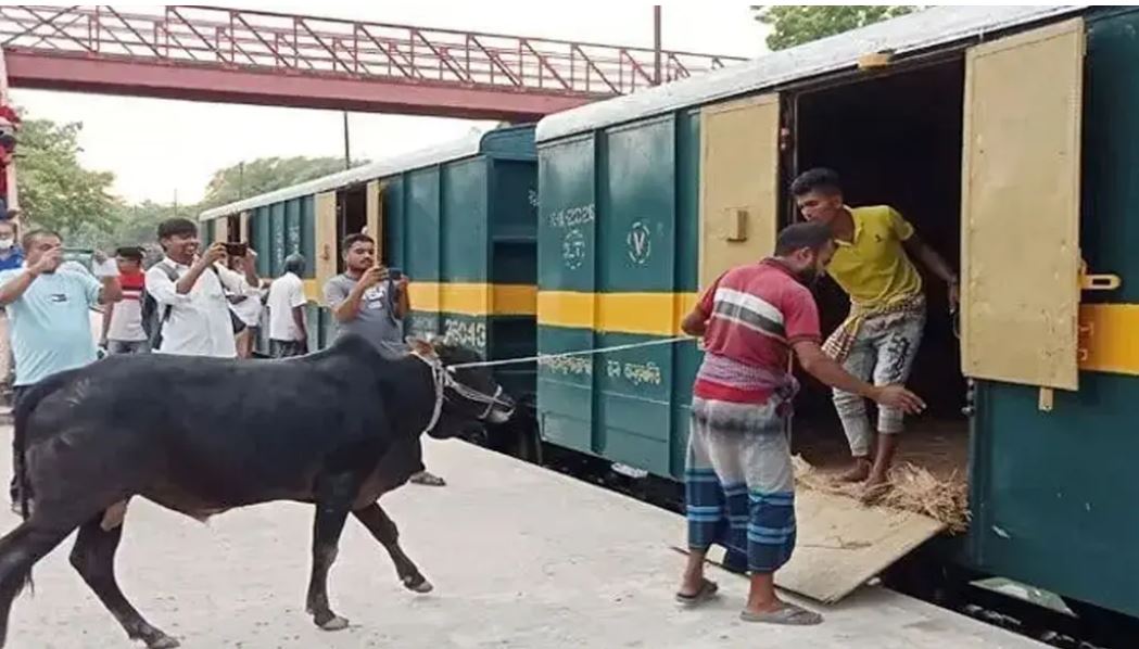 ঈদুল আজহা উপলক্ষে ৩টি ‘ক্যাটল স্পেশাল ট্রেন’ চালাবে রেলওয়ে